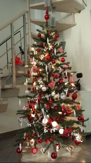 Il nostro albero...