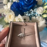 Foto e video della proposta: shooting o selfie? - 1