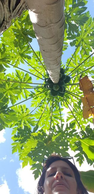 Polinesia Francesce - escursioni/cose da fare/vedere assolutamente! - 5