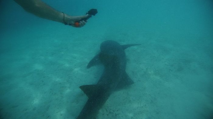 Polinesia Francesce - escursioni/cose da fare/vedere assolutamente! - 2