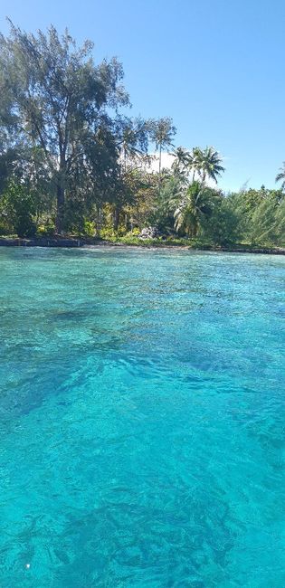 Polinesia Francesce - escursioni/cose da fare/vedere assolutamente! - 7
