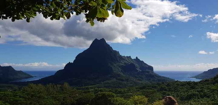 Polinesia Francesce - escursioni/cose da fare/vedere assolutamente! - 4