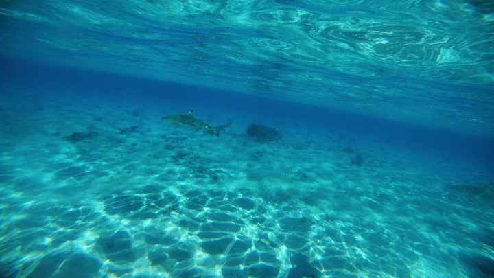 Polinesia Francesce - escursioni/cose da fare/vedere assolutamente! - 1