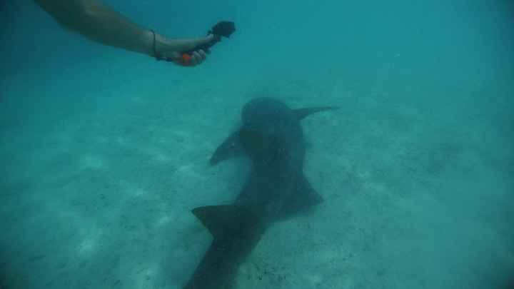 Polinesia Francesce - escursioni/cose da fare/vedere assolutamente! - 2