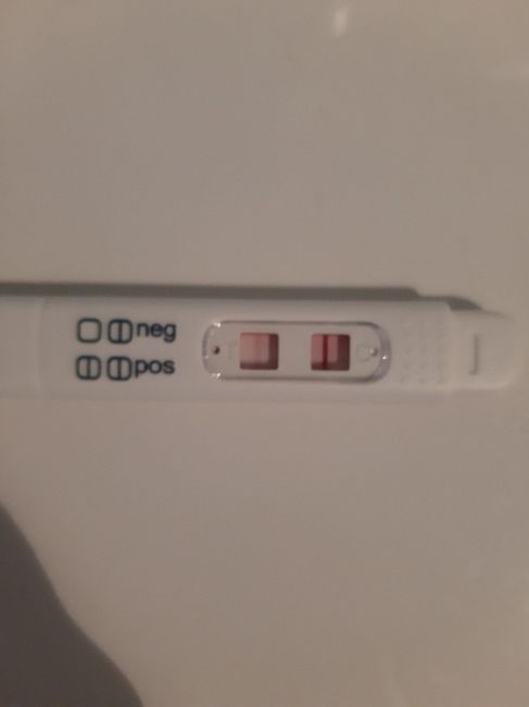 💝🎄🎉🎅🎁chi non le aspetta per dicembre 2019🎅🎁🎉🎄 - 1