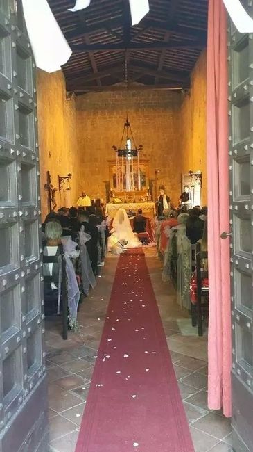 Cagnolone si - cagnolone no - 3