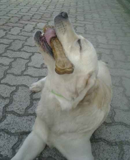 Chi vi accompagnerá all'altare?? - 2