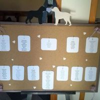 Sposine, quanto tempo avete aspettato prima di vedere i provini? - 7