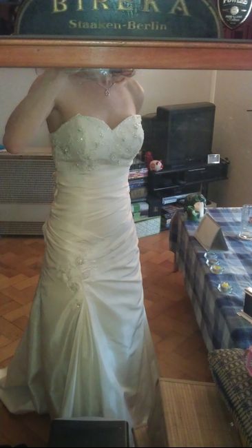 Ecco il mio vestito - 1