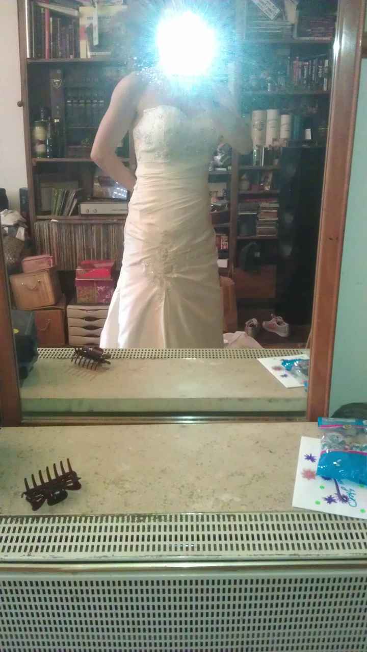 Ecco il mio vestito - 3