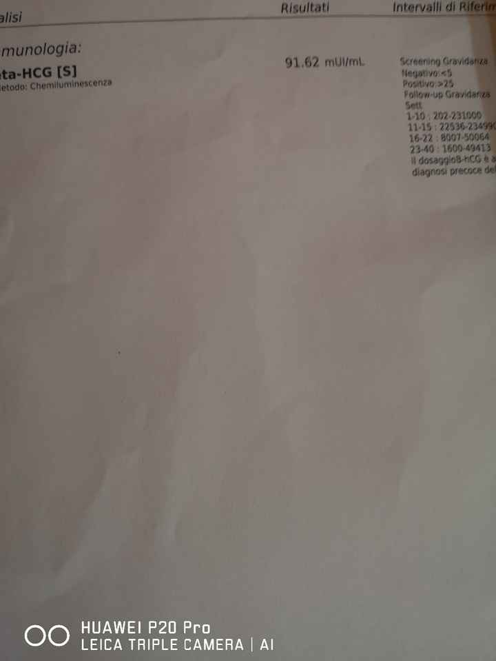 Beta hcg, chi mi schiarisce le idee? - 1