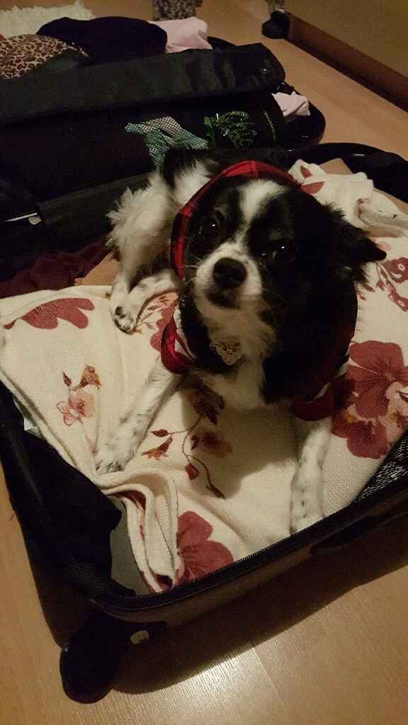 Trilly sarà con me :) - 1