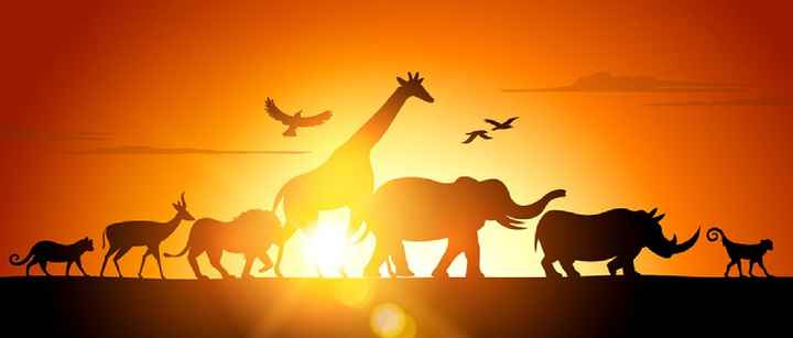 Tema matrimonio + tableau - 2