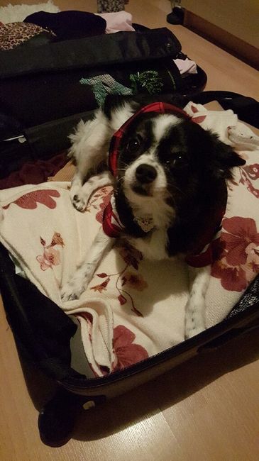 Trilly sarà con me :) - 1