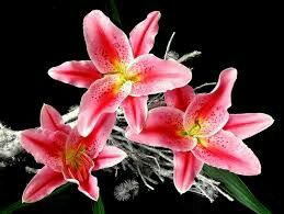 I vostri bouquet da sposa come li vorreste o li avete presi!? - 1