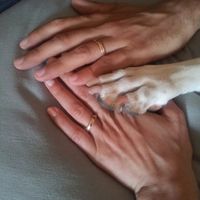 La vostra mano da sposata com'è?  - 1