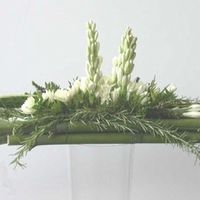 bambu orizzontale