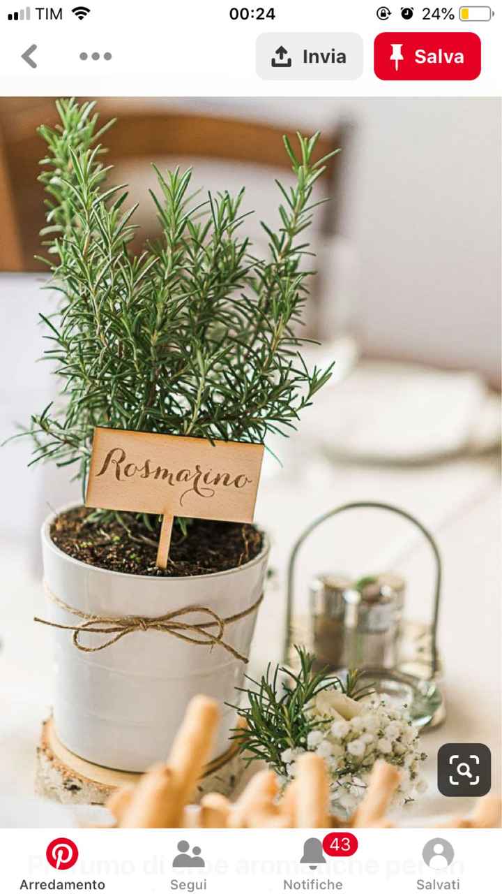 Matrimonio senza fiori - 1