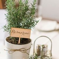 Matrimonio senza fiori - 1