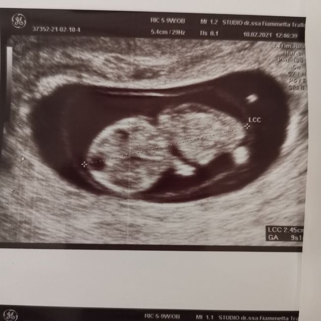 Future Mamme Settembre 2021😍 - 2