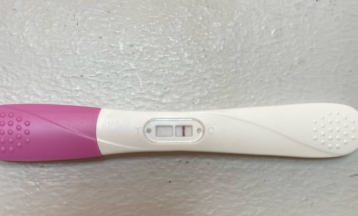 Chi non le aspetta per febbraio 2023 💪🏻❄️🍀🐞🥰 1