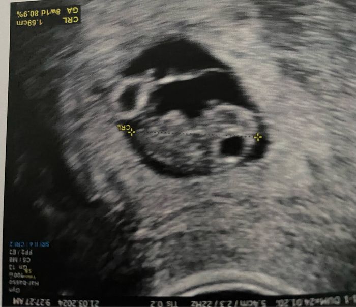 Future Mamme Ottobre 2024 🍀🌈🍁🌸 1