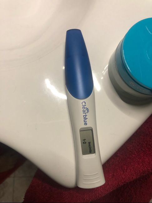 incinta 1-2 1