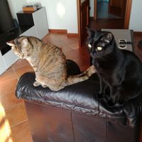 Fateci vedere il vostro nido d'amore! 🏡 - 1