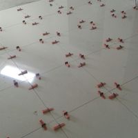 Ragazze i vostri pavimenti lucidi 60x60! - 2