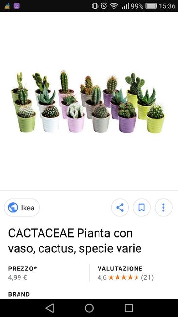  Piantine grasse mini - 1