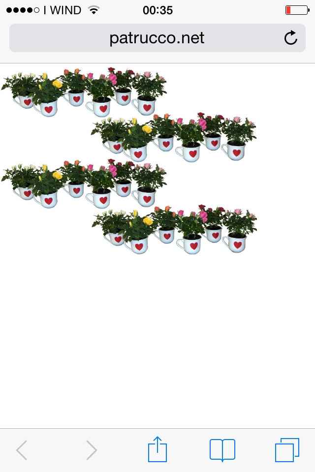 Bomboniera piantina vi piace?  - 1