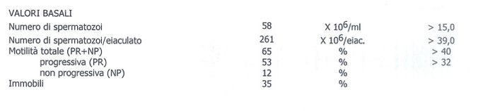 Spermiogramma - 1
