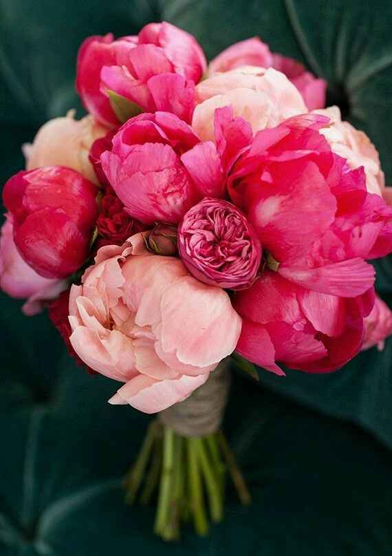 Bouquet di peonie🌹 - 6
