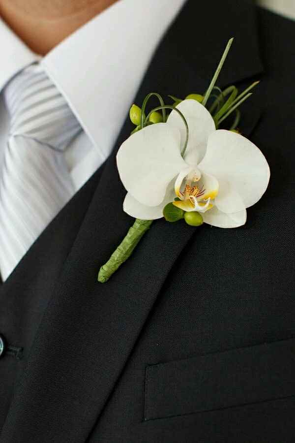Boutonniere...  - 11