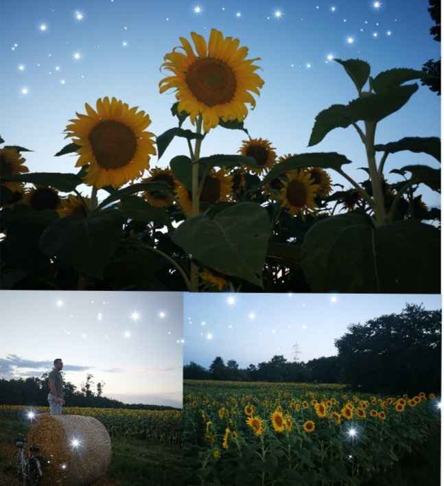 Quando hai ricevuto la proposta? - 1