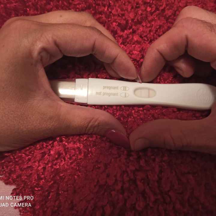 Future mamme Giugno 2021 💛🐠🍀🌻 - 3