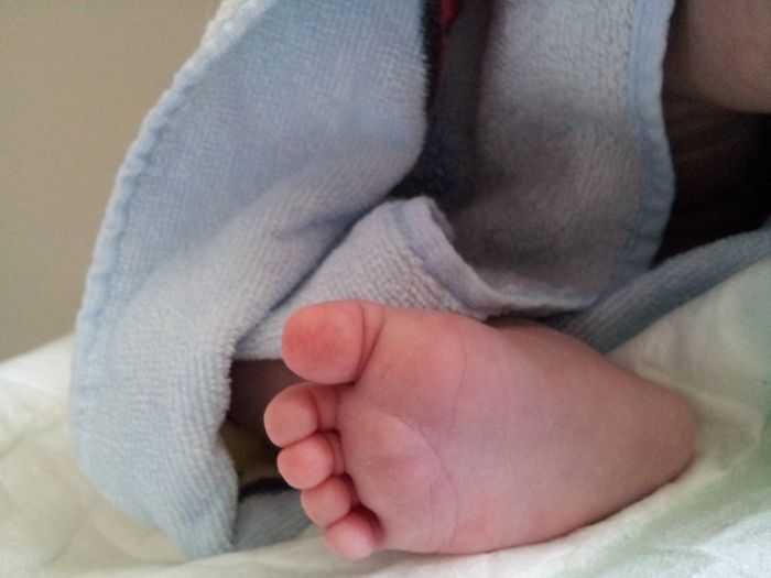 .... e poi arriva la cicogna