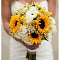 Girasoli che passione - 1