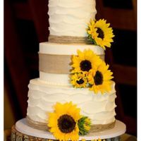 Girasoli che passione - 2