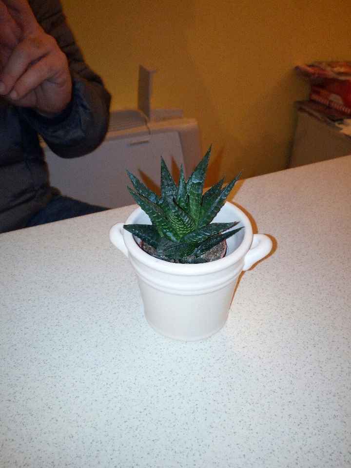  Bomboniera Green! - 1