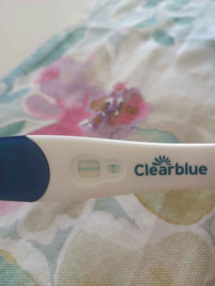 Per chi non le aspetta ottobre, novembre e dicembre 2024🍀🐞 - 1