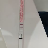 Per chi non le aspetta ottobre, novembre e dicembre 2024🍀🐞 - 1