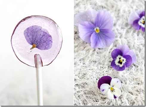 Lecca lecca floreali