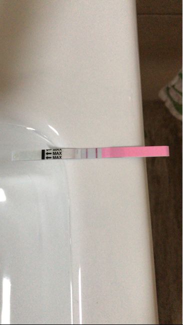 Aggiornamento test ovulazione 1