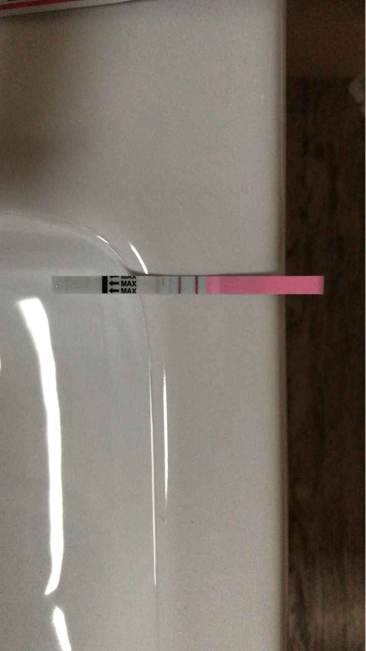 Aggiornamento test ovulazione - 1