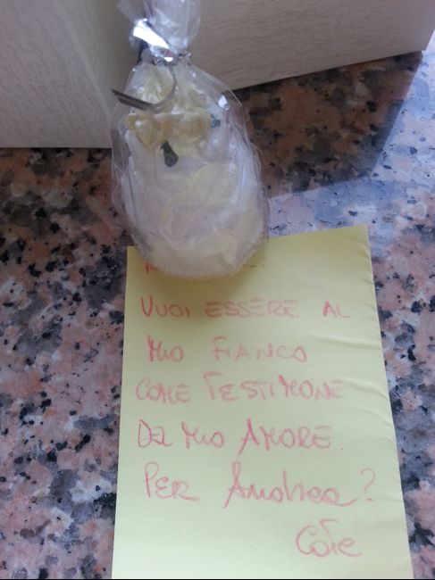 Ecco la proposta per le mie testimoni! - 3