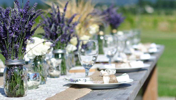 Tema provenzale!!! - 5