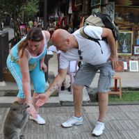 Tempio delle scimmie