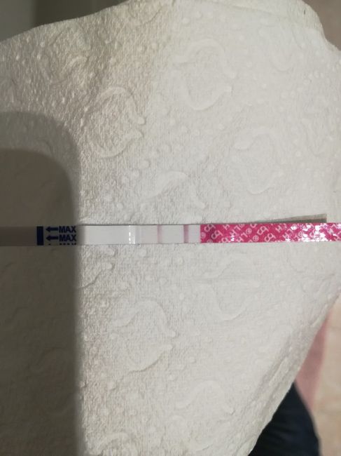 Test ovulazione come test di gravidanza 3