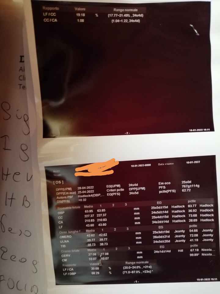 Preoccupazioni eco - 1